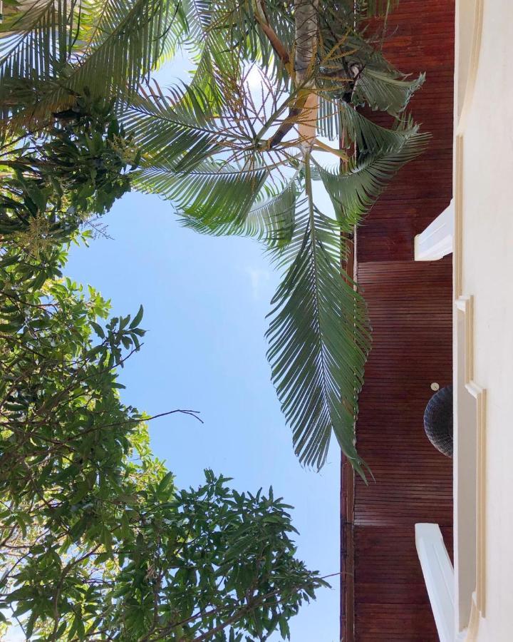 Steffi'S Mandala Hotel Hikkaduwa Exterior photo